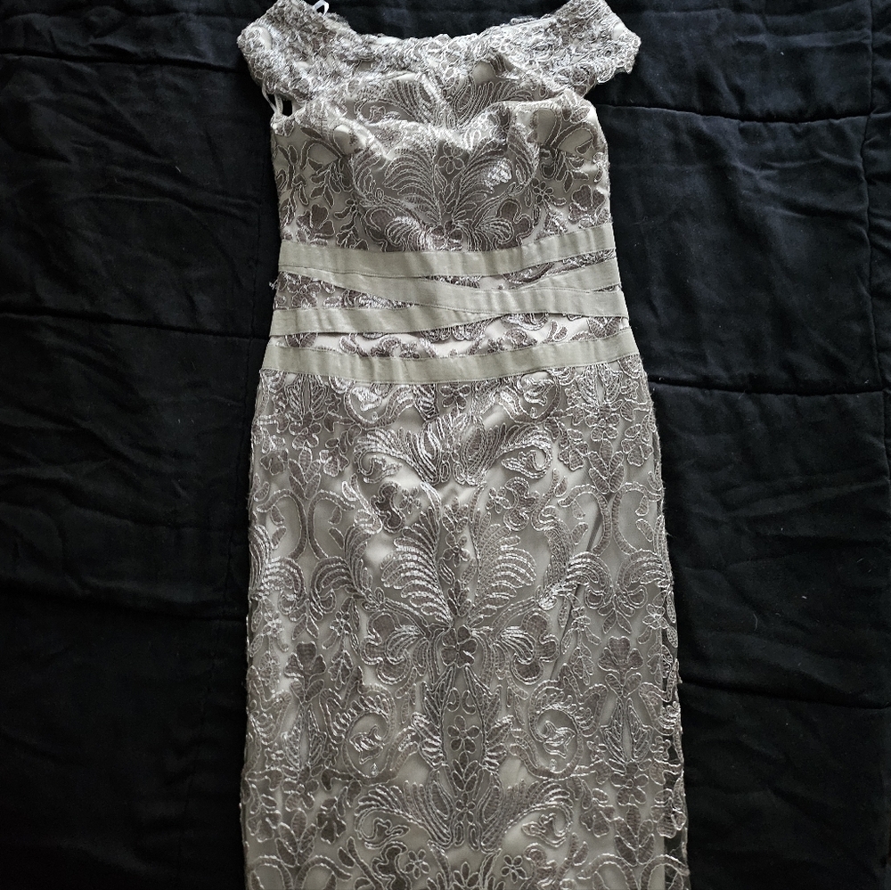 Elegant Silver Tadashi Shoji Lace Knee Length Dress